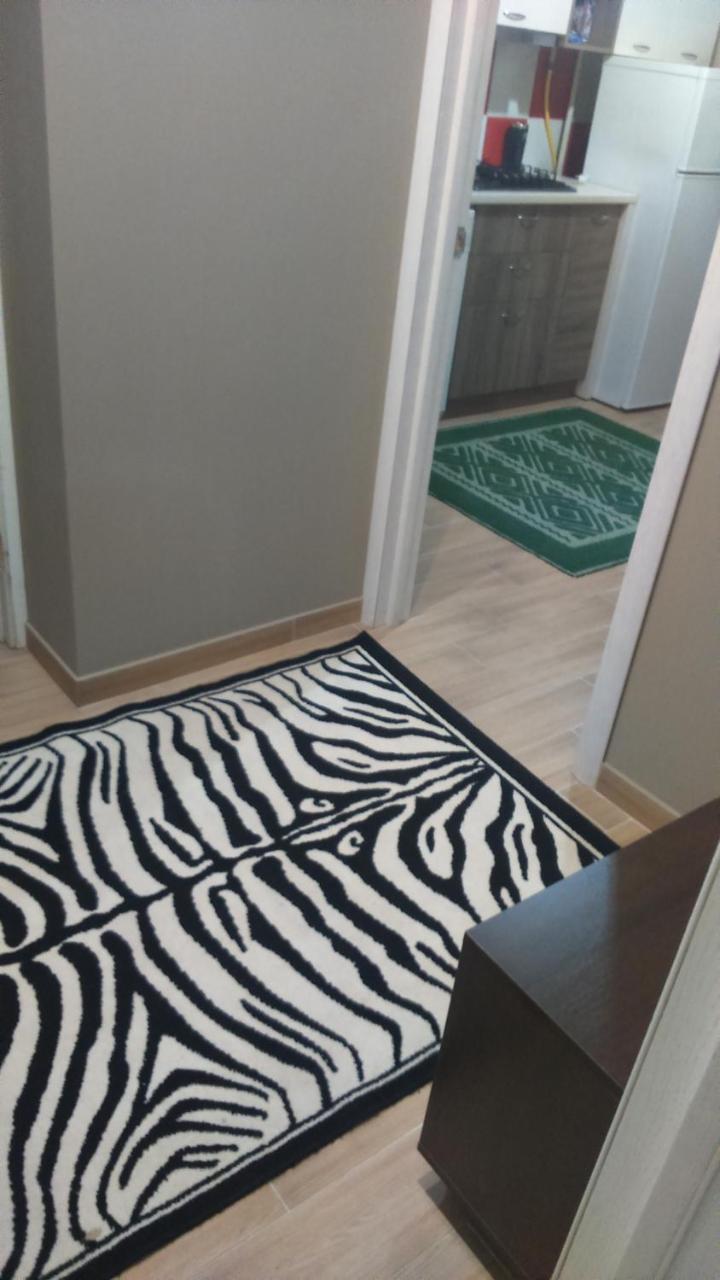 Apartment Romana Street